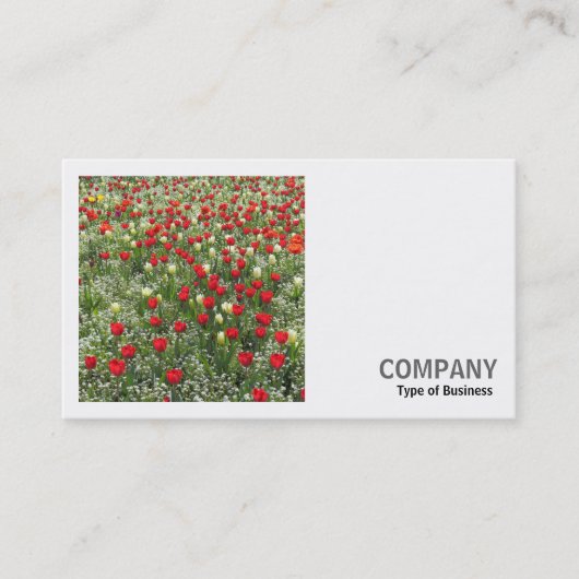 角写真(v2) – チューリップのベッド 名刺 (正面)