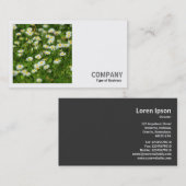 角写真(v2) -デイジー草原 名刺 (正面/裏面)