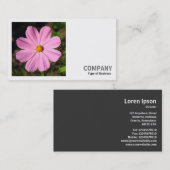 角写真(v2) – ピンクのコスモス 名刺 (正面/裏面)