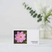 角写真(v2) – ピンクのコスモス 名刺 (スタンド正面)