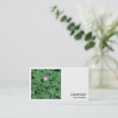 角写真(v2) - Lone Geranium 名刺 (スタンド正面)