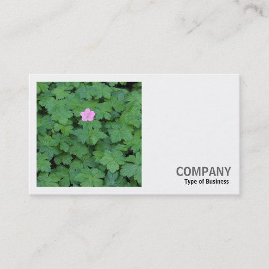角写真(v2) - Lone Geranium 名刺 (正面)