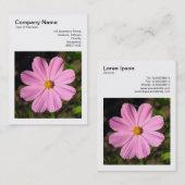 角写真(v3) – ピンクのコスモス 名刺 (正面/裏面)