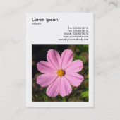 角写真(v3) – ピンクのコスモス 名刺 (裏面)