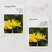 角写真(v3) - 忙し Bee 名刺 (正面/裏面)