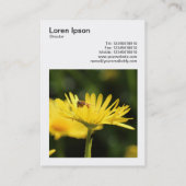 角写真(v3) - 忙し Bee 名刺 (裏面)