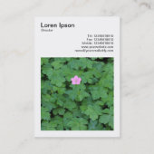 角写真(v3) - Lone Geranium 名刺 (裏面)