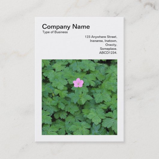 角写真(v3) - Lone Geranium 名刺 (正面)