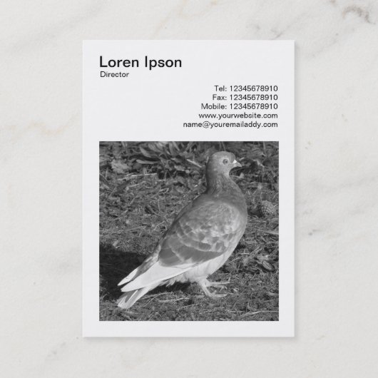 角写真(v3) - Pigeon BW 名刺 (裏面)