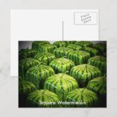 角型スイカ ポストカード (正面/裏面)