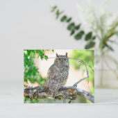 角型素晴らしフクロウ写真はがき ポストカード (スタンド正面)
