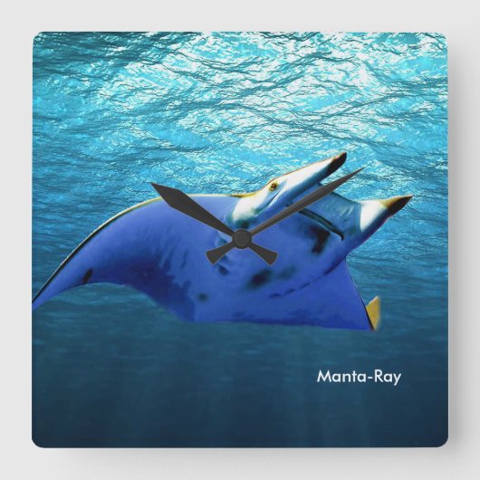 角壁時計用フィッシュイメージ スクエア壁時計 (正面)