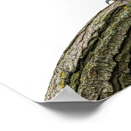 角威厳のある素晴らしフクロウ ポスター (角)