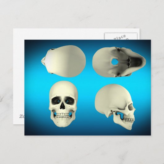 角度からの人間スカルの違う見解 ポストカード (正面/裏面)