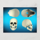 角度からの人間スカルの違う見解 ポストカード (正面)