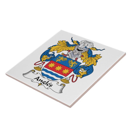 角度の家紋 タイル (側面)