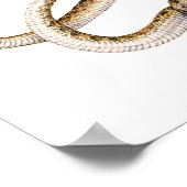 角張ったバイパー ポスター (角)