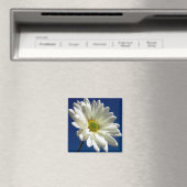 角形デイジー磁石 マグネット (インサイチュ (食洗機))