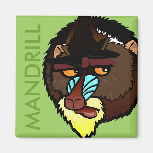 角形マンドリル磁石 マグネット (正面)