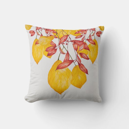 角枕にチリとターメリック クッション (正面)