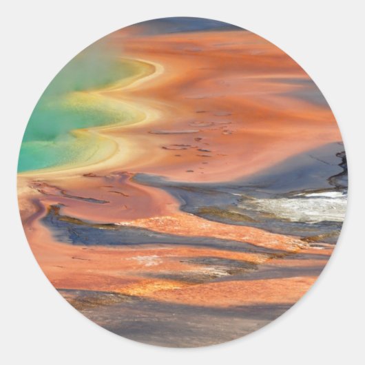 角柱状春流出 ラウンドシール (正面)