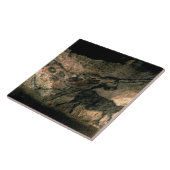 角状動物の絵画、c.17000を紀元前に揺すって下さい(洞窟 タイル (側面)