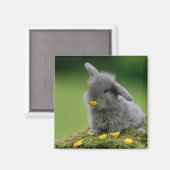 角磁石 マグネット (正面/裏面)