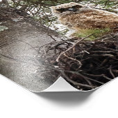 角素晴らしのフクロウとフクロウ フォトプリント            (角)