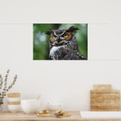 角素晴らしのフクロウ ポスター (キッチン)