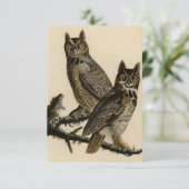 角素晴らしのフクロウ（J.J.オードボン） カード (スタンド正面)