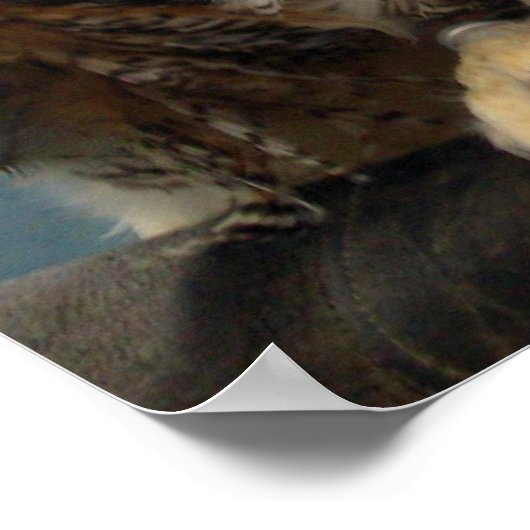 角素晴らしフクロウのポスター ポスター (角)