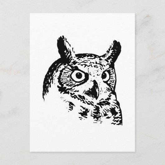 角素晴らしフクロウのロゴ ポストカード (正面)