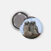 角素晴らしフクロウの雛 – 磁石 (正面/裏面)