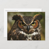 角素晴らしフクロウクローズアップ葉書 ポストカード (正面/裏面)