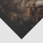 角素晴らしフクロウティッシュペーパー 薄葉紙 (詳細)