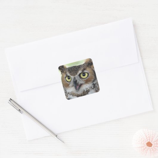 角素晴らしフクロウポートレート スクエアシール (封筒)