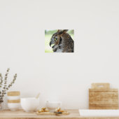 角素晴らしフクロウポートレート ポスター (キッチン)