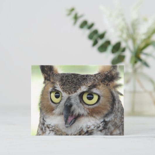 角素晴らしフクロウポートレート ポストカード (スタンド正面)