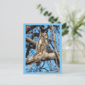 角素晴らしフクロウ写真 ポストカード (スタンド正面)