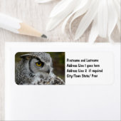 角素晴らしフクロウ写真 ラベル (インサイチュ)