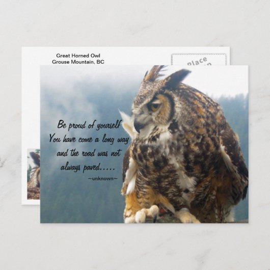 角素晴らしフクロウ引用文葉書 ポストカード (正面/裏面)