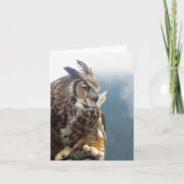 角素晴らしフクロウ札 カード