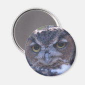 角素晴らしフクロウ磁石 マグネット (正面/裏面)