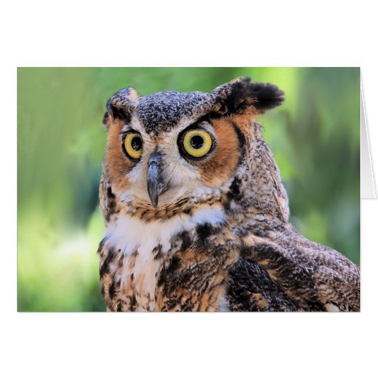 角素晴らしフクロウ空白のカード (正面横)