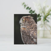 角素晴らしフクロウ葉書 ポストカード (スタンド正面)