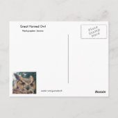 角素晴らしフクロウ親切はがき ポストカード (裏面)