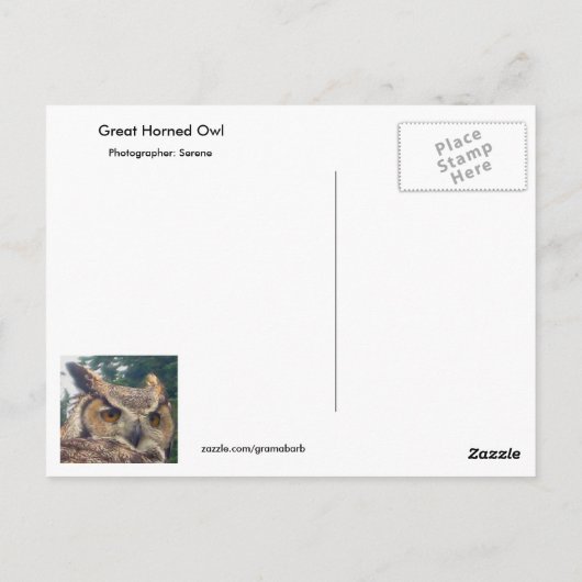 角素晴らしフクロウ親切はがき ポストカード (裏面)