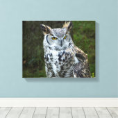 角素晴らしフクロウ キャンバスプリント (インサイチュ (ウッドフロア))