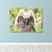 角素晴らしフクロウ キャンバスプリント (インサイチュ (ウッドフロア))