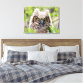 角素晴らしフクロウ キャンバスプリント (インサイチュ (寝室))